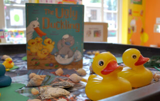 ugly duckling learning resources